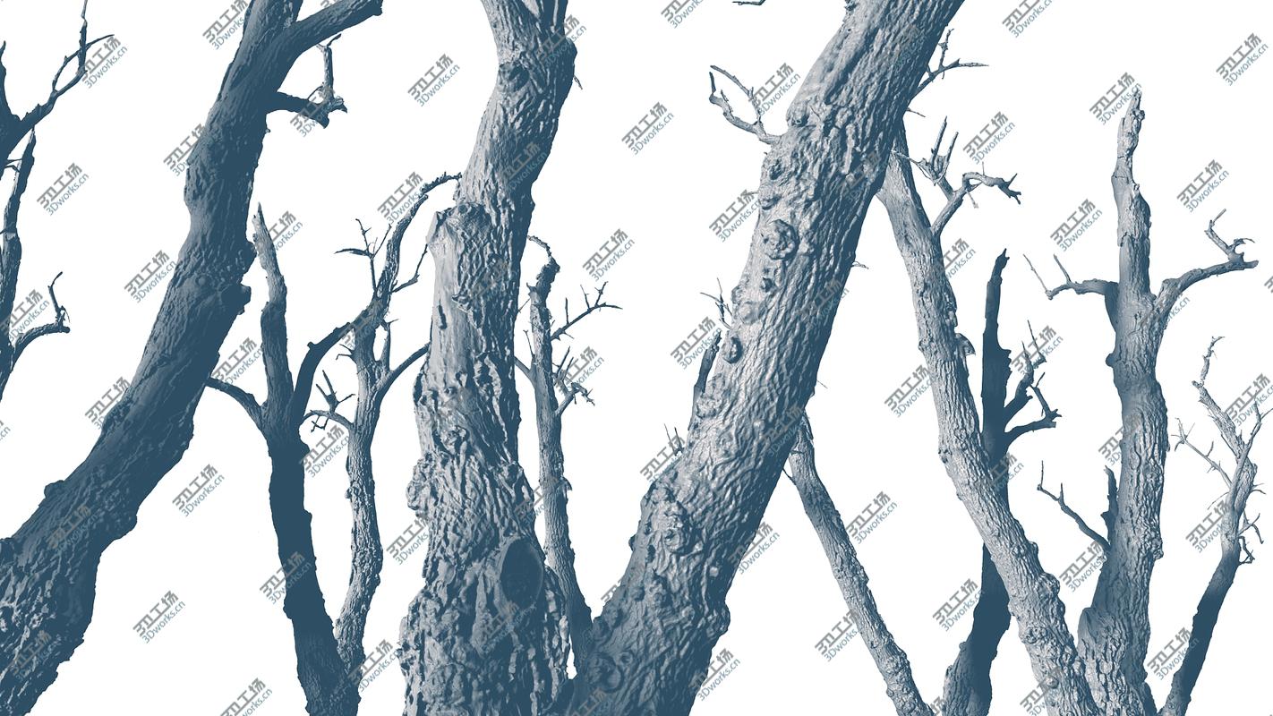 images/goods_img/202104023/Old Forest 2 ULTRA HD/5.jpg